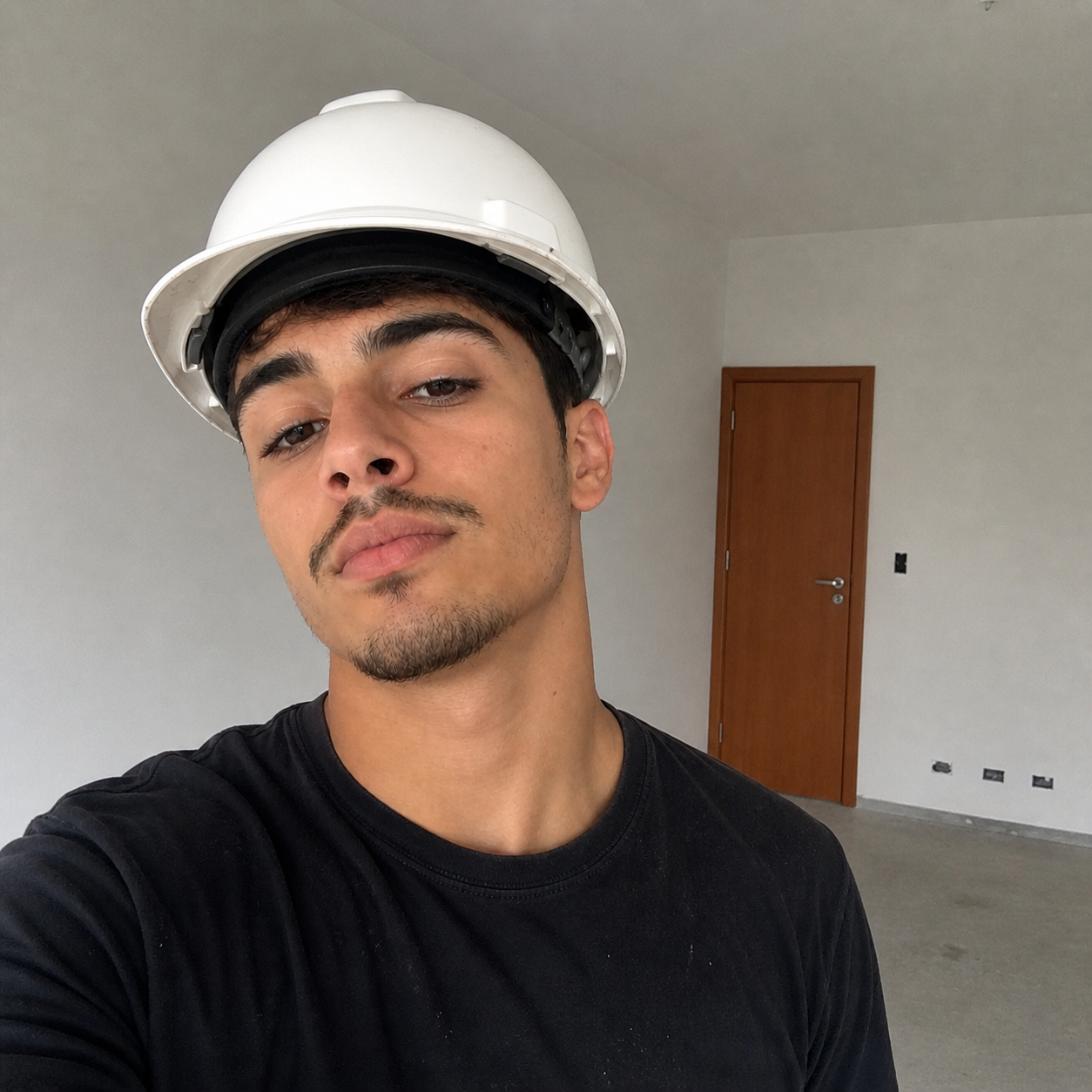 Vistoriador Parceiro